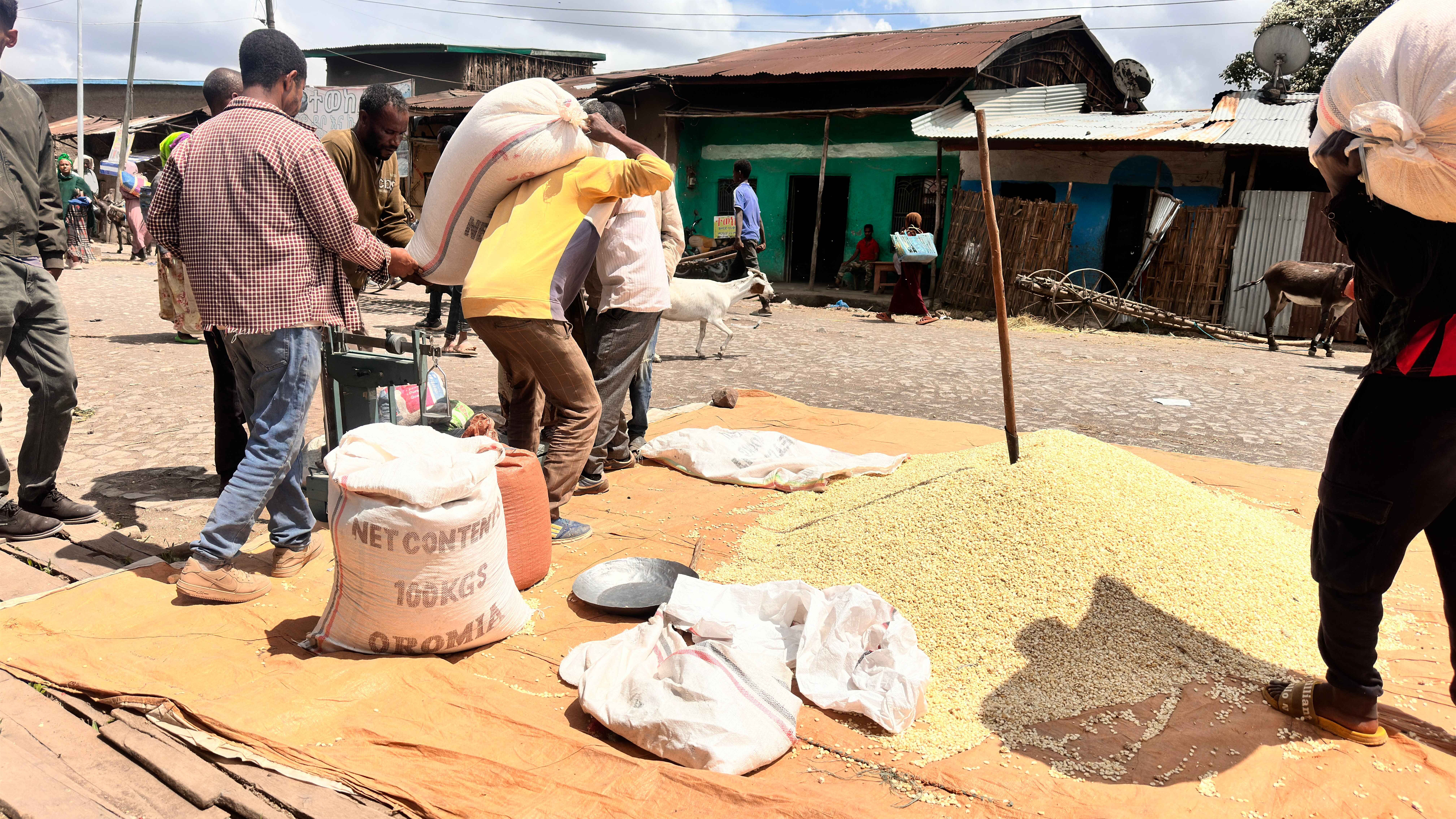 Providing Aid 1